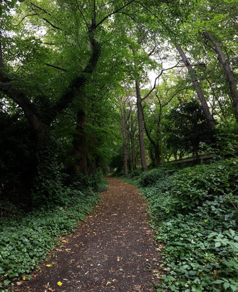 heading south - entering the wild forest - to the right the Drumcondra Rd